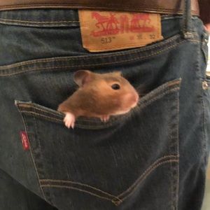 Meet your Posher, Ryan